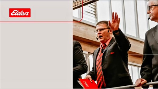  STUD STOCK WEEKLY MUSTER  Week commencing Monday 20th October 2025 FRIDAY 24th OCTOBER Highgrove Border Leicester #forausag #elderslimited #elderslivestock #elderssa #pinkshirtagents #eldersstudstock #studstockweeklymuster #studstock | Elders SA Livestock & Clearing Sales | Facebook