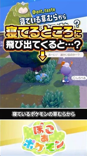 【心が広い】ゼニガメが寝ている草むらからポケモンが飛び出てくると…？？？ #ぽこあポケモン #ポケモン #ぽこポケ
