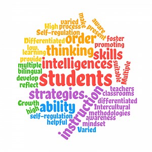 MULTIPLE INTELLIGENCES COURSE