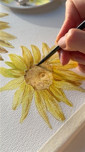 How to paint Sunflower 🥰 #botanicalart #floraart #watercolor #painting #art #drawing #flowers