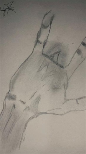 Wild Drawing Techniques: Dynamic Sketches for Followers