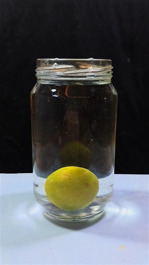 Easy simple science experiments for school students| DIY | water salt lemon sinking check