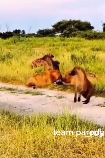 Lasing😂😂 #teamparodytv | team parody TV