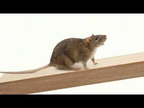 GEICO Portraits Gallery Launch 15