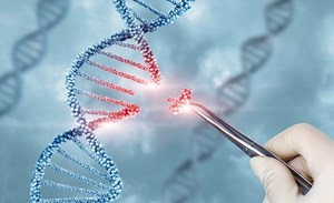 ALS Is Only 50% Genetic – Identifying Dna Regions Affected by Lifestyle and Environmental Risk Factors Could Help Pinpoint Avenues for Treatment