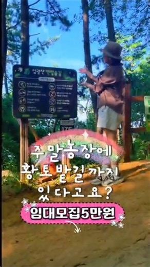 주말농장에 황토밭길까지? 개금주말농장 임대 모집 #부산주말농장 #텃밭임대 #기장땅 #일광토지