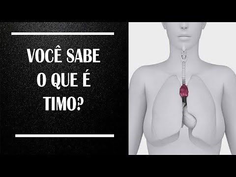 The Hidden Truth About the Thymus — You'll Be Surprised!