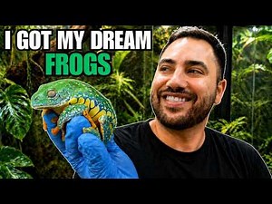 New Fringed Leaf Frogs! Jungle Paludarium Setup + Tad Update