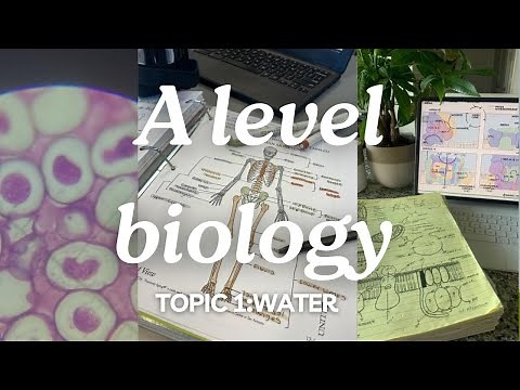 **CHECK PINNED COMMENT** A level Biology Edexcel A SNAB: Topic 1: Water