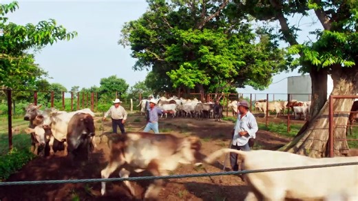 MI VERDAD OCULTA | CAPÍTULO 53 COMPLETO