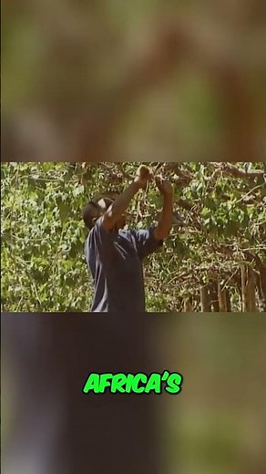 South Africa's Apartheid Land Inequality Legacy