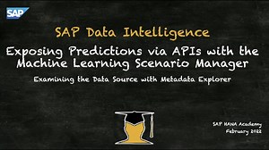 SAP Data Intelligence ML Scenario Manager (02) - Connections and