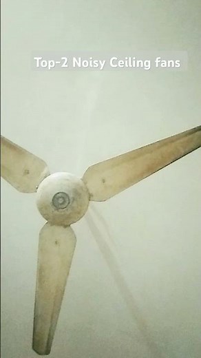 Top-2 Noisy Ceiling fans