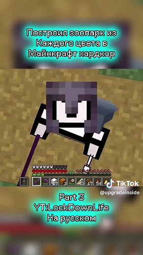 Building a Colorful Zoo in Minecraft Hardcore