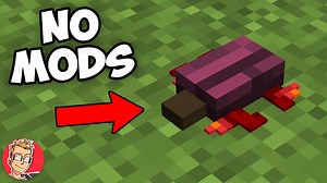 23 Unfamiliar Things in Minecraft You Did Not Notice