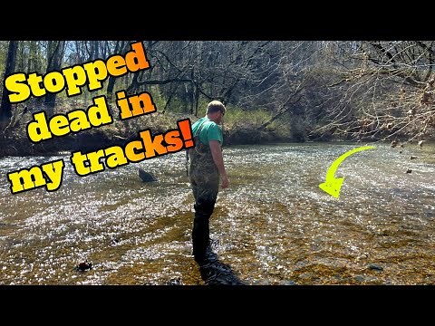 Treasure Hunter unearths Valuable Hidden History from Riverbed!