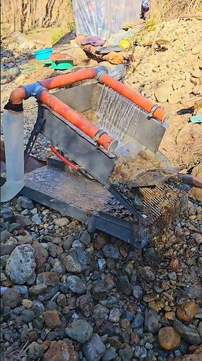Gold Prospecting, Finding and Screening Operations in Rivers and Streams #goldminers #goldpanning