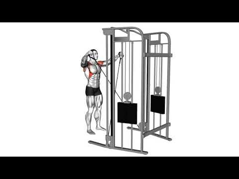 Cable Y Raise： A Comprehensive Exercise Guide 33421201 Cable Y raise Shoulders