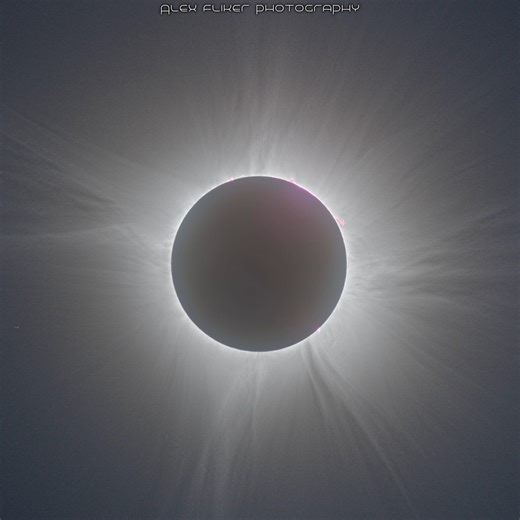 TSE 2024: From Start to End