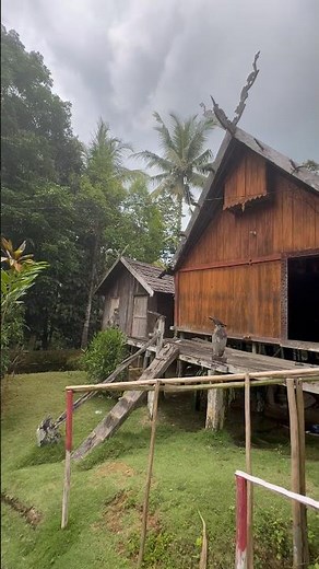 Dayak village with its typical traditional houses