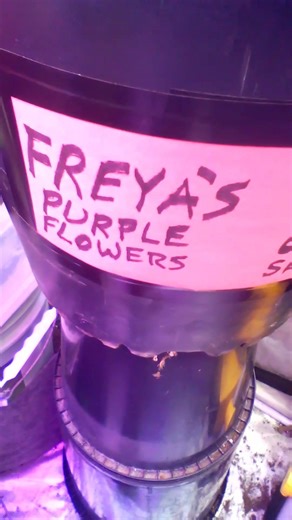 THIS MEANS WAR GROW OFF