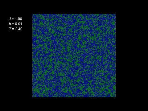 2次元イジングモデル 外場を付加 (W1000 x H1000)