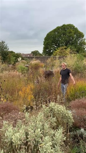 Our garden safari dates for 2026 are... OPEN! Knepp's head gardener, Charlie Harpur, says thanks to everyone who visited this year and lets you know what's in store for next year. But the 2025 season is not over yet. You can visit the rewilded Walled Garden until the end of October. 🍃🌱 Book via the What's On Calendar - https://knepp.co.uk/visit-knepp/whats-on/ | Knepp Wilding