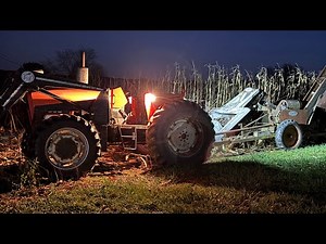 Picking corn with Allis Chalmers 6080