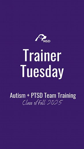 Another incredible week of Team Training with our second group of teams. Watching these partnerships take shape has been inspiring, and we are so proud of the hard work, patience, and heart each team brings. We can’t wait to see these bonds continue to grow! Thank you to everyone involved — you should be proud of the journey that led to this moment 💜 Thank you to @dogtopiafoundation for helping to support our Fall 2025 University Class. | National Service Dogs