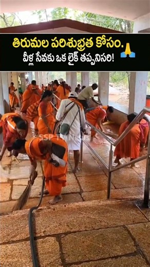 వీళ్ల సేవకు ఒక లైక్ తప్పనిసరి! ❤️ #tirumala #service #shorts