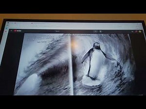 Opening To Open Season (2006) 2007 DVD [THX Version]