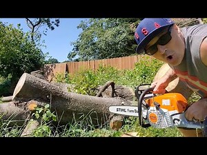 Stihl MS 271 Farm Boss Chainsaw review