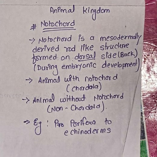Notochord ( Chordata & Non-chordata) || Animals Kingdom @LogicalLearninghub