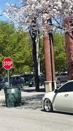 It’s almost springtime! What’s the view looking like for this travelers journey ? #wanderwednesday