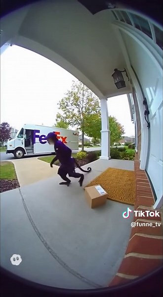 Funny Monkey Delivery using Ring Camera