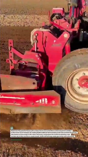 Powerful Tractor Rotary Harrow Making Perfect Seedbed! #tractor #farming #agriculture
