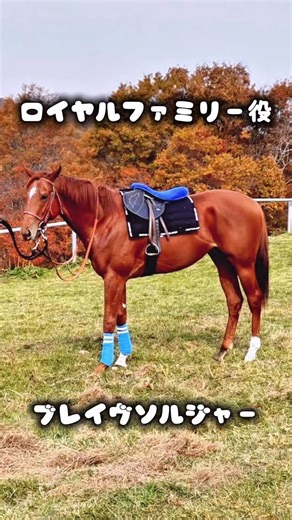 アオラキfamily🐴🤍 | 明日、1/5 中山5Rにアオラキfamily達が産まれ育った、ディアレストクラブ( @dearest_club_ )から注目の新馬 ロイヤルファミリー役のブレイヴソルジャー がデビューします🐎💨 がんばれ！ブレイヴソルジャー🐎✨ #ブレイヴソルジャー #ディアレストクラブ... | Instagram