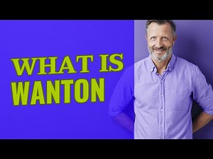 Wanton | Definition of wanton