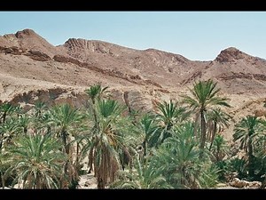 Auswirkungen des Klimawandels auf die Landwirtschaft des globalen Südens