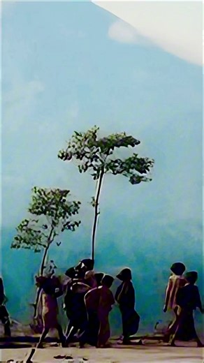 Letusan Gunung Merapi 1954: Tragedi dan Sejarah