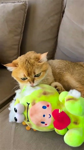 😻 Cat-tastic Tricks That Will Leave You Laughing! 🐾