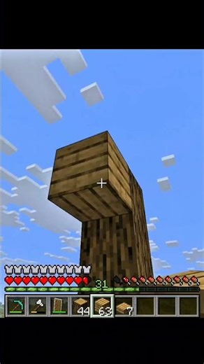 Doing Whatever The Top Comment Says In Minecraft #9