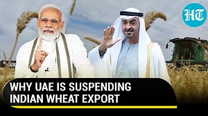 ‘Interruption in global trade’: UAE suspends Indian wheat export & re-export