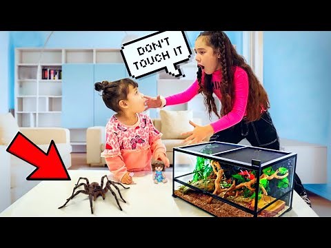FOUND Our 2 Year Old PLAYING With a Huge TARANTULA!! | Jancy Family