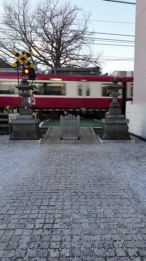 横浜市は神奈川県に位置する都市で、人口は約377万人です。横浜市には、みなとみらい21、横浜中華街、山下公園、横浜スタジアム、ランドマークタワー、八景島シーパラダイスなど、多くの観光スポットがあります。青葉区、旭区、泉区、磯子区、神奈川区、金沢区、港南区、港北区 、栄区、瀬谷区、都筑区、鶴見区、戸塚区、中区 、西区、保土ケ谷区、緑区、南区の18の行政区があります。 #横浜市 #横浜 #Yokohama #yokohamajapan #よこはま #横濱 #横浜散歩 #yokohamacity #横浜を歩く #神奈川県横浜市 #横浜市神奈川区 #神奈川区