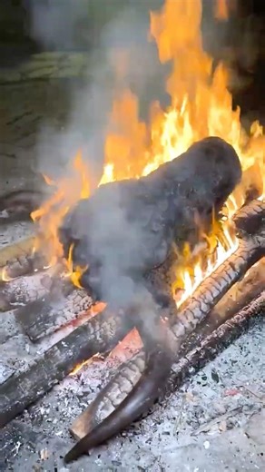 Ultimate Beef Head Recipe 🔥 You’ve Never Seen This Before #shorts #shortsfeed #cooking