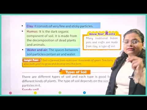 Science Class 3 | Chapter 4 – Rocks, Minerals and Soil | Easy Explanation