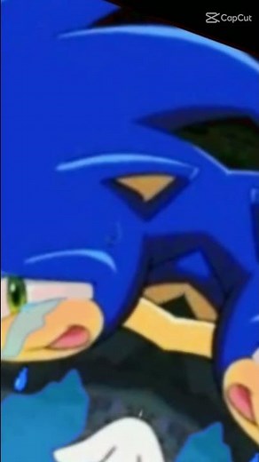 Sonic crying😭