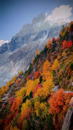 The French Alps during autumn are unbelievable 🍁😳 I spent the last few days exploring the French Alps around Chamonix, France, where the fall colors have been incredible. It’s home to Mont Blanc, which is the tallest mountain in the Alps and one of the tallest in Europe. There’s so much to see here. I honestly didn’t have enough time to see everything I wanted due to weather constraints, but I will be back next year without a doubt! 🇫🇷 Especially to backpack 🤟🏼 These photos were taken this