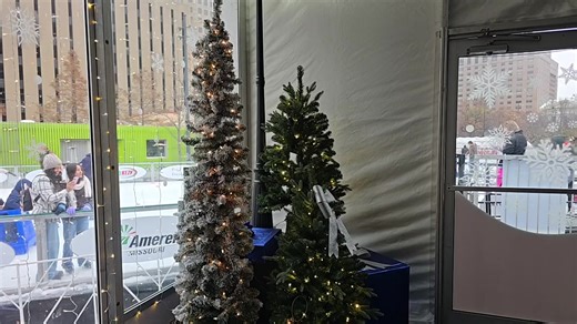 Downtown STL Activities | VOP News STL